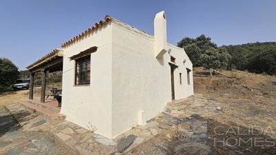 casa-goldi-detached-character-house-for-sale-