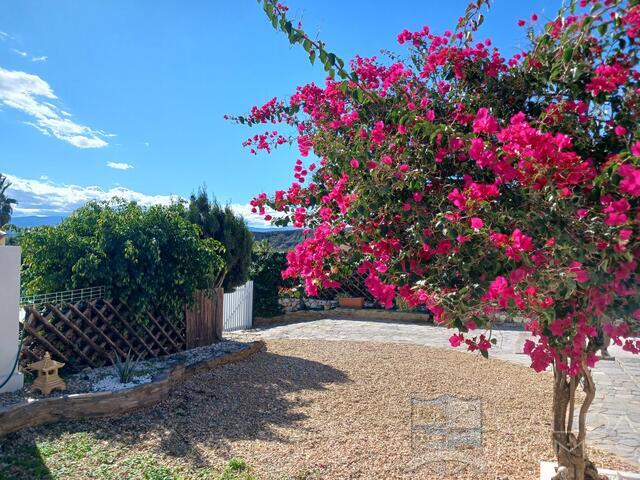 Image No.4-3 Bed Villa for sale