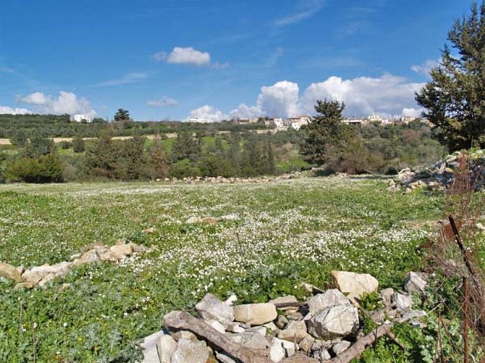 Image No.2-Plot for sale