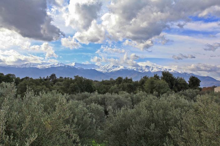 Image No.12-1 Bed Villa for sale