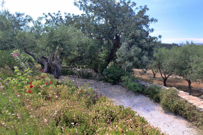 Image No.20-3 Bed Villa for sale