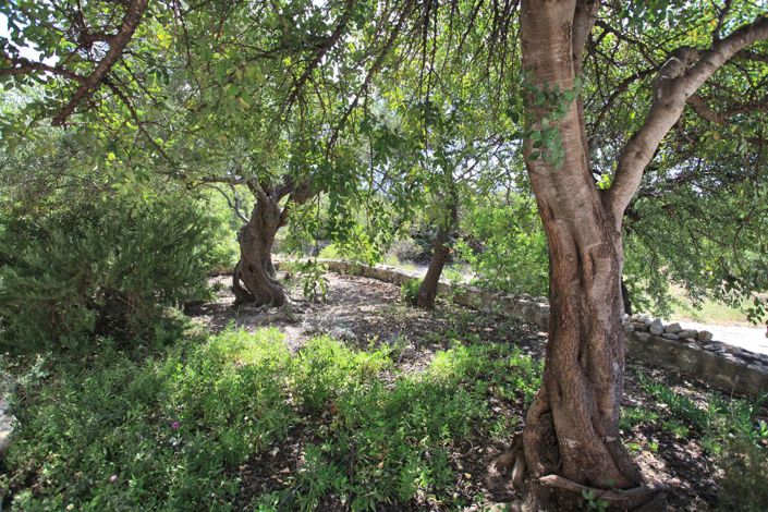 Image No.5-3 Bed Villa for sale