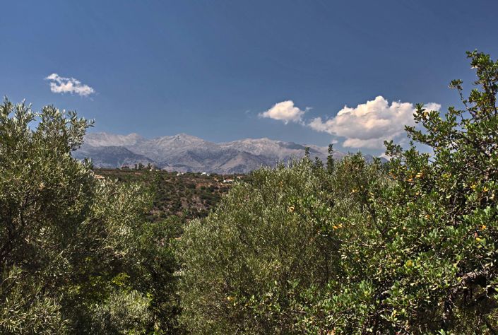 Image No.13-1 Bed Apartment for sale