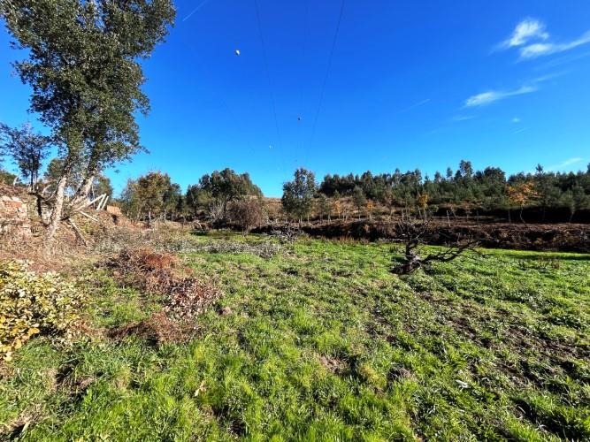 Image No.5-Land for sale