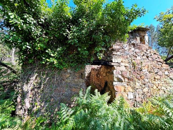 Image No.6-Land for sale