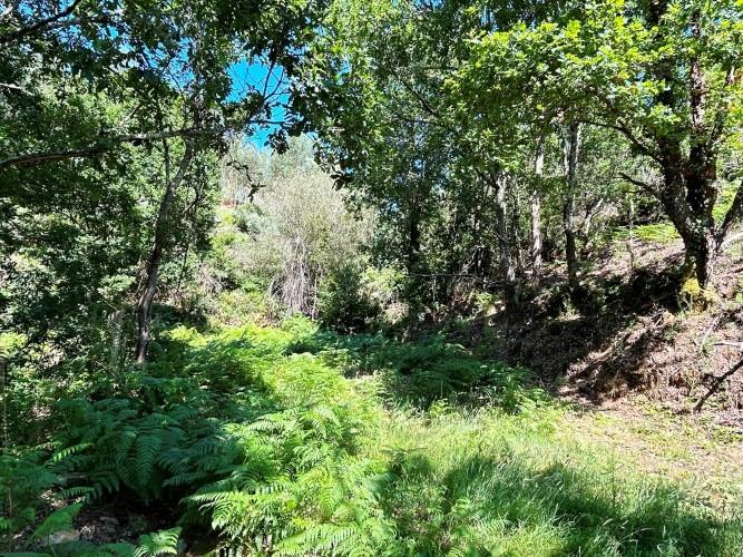 Image No.11-Land for sale