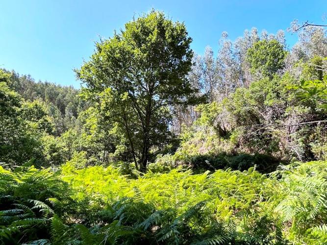 Image No.13-Land for sale