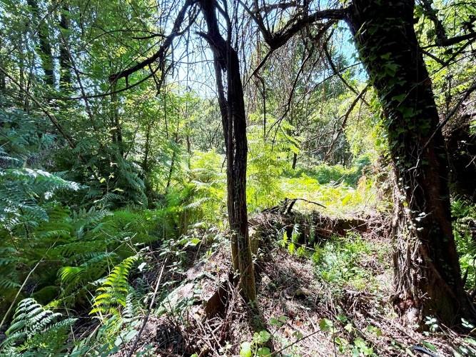 Image No.14-Land for sale