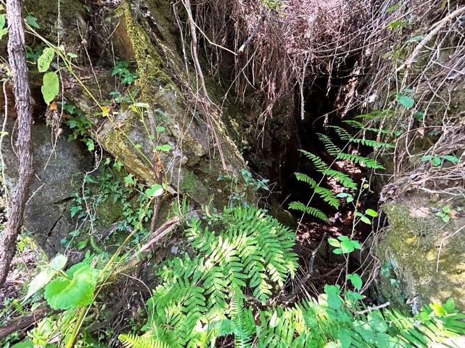 Image No.15-Land for sale