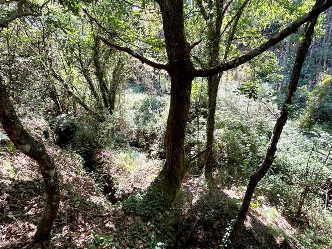 Image No.18-Land for sale