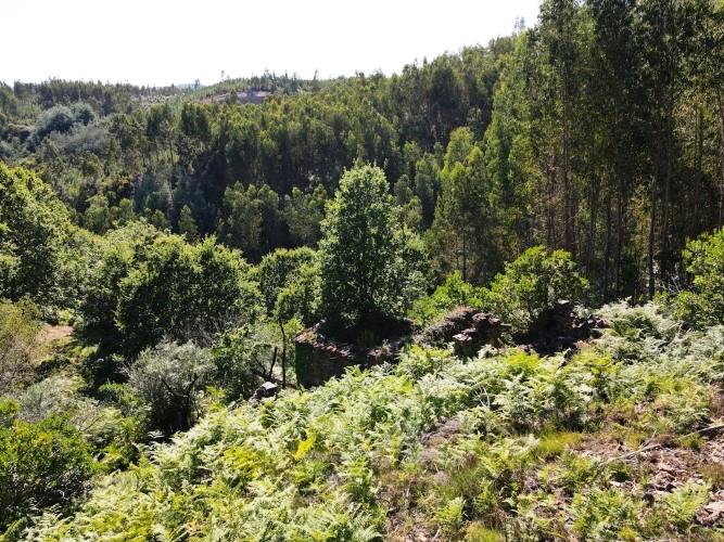 Image No.19-Land for sale