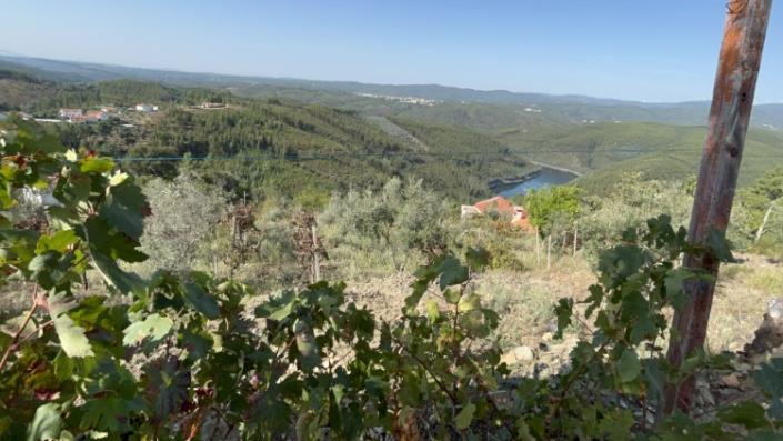 Image No.13-Plot for sale