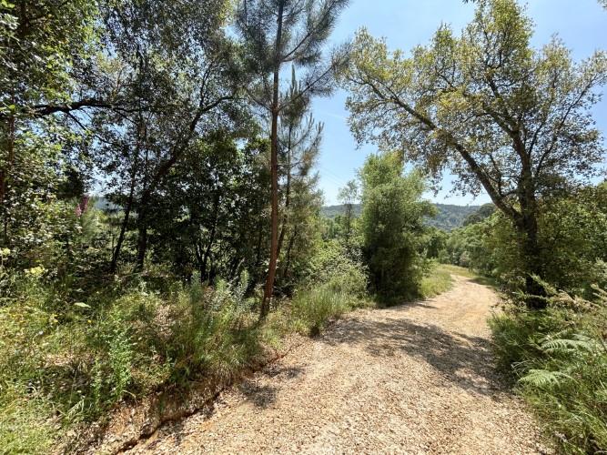 Image No.5-Land for sale