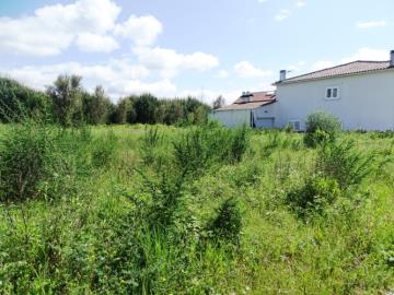 4---1316--NEW---Custom-