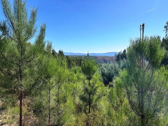 Image No.17-Land for sale