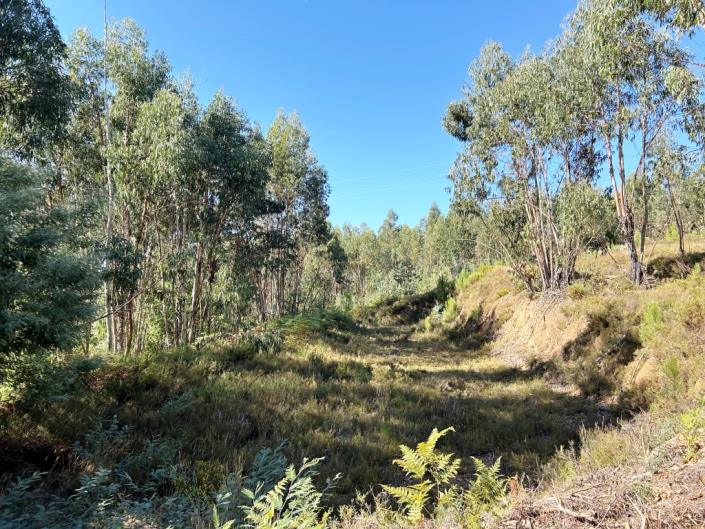 Image No.4-Land for sale