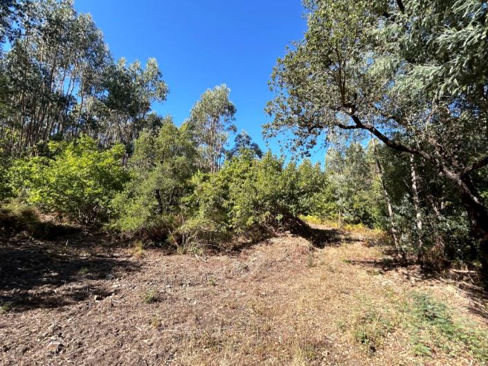 Image No.16-Land for sale