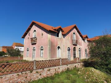 12 Bed Mansion for sale