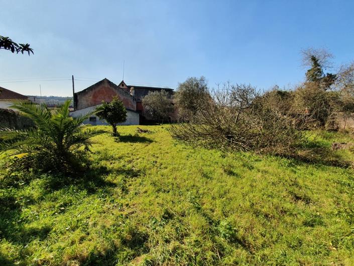 Image No.27-12 Bed Mansion for sale