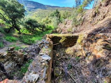 5---995--NEW---Custom-