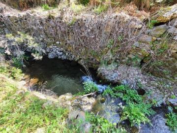 12---995--NEW---Custom-