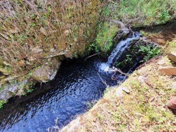 13---995--NEW---Custom-