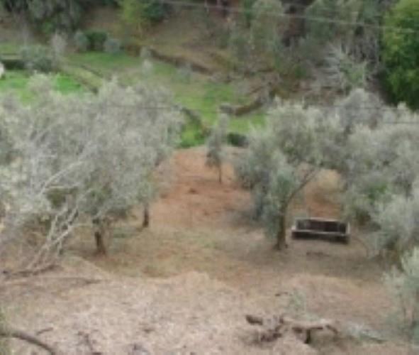 Image No.6-3 Bed Farmhouse for sale