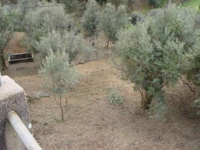 Image No.8-3 Bed Farmhouse for sale