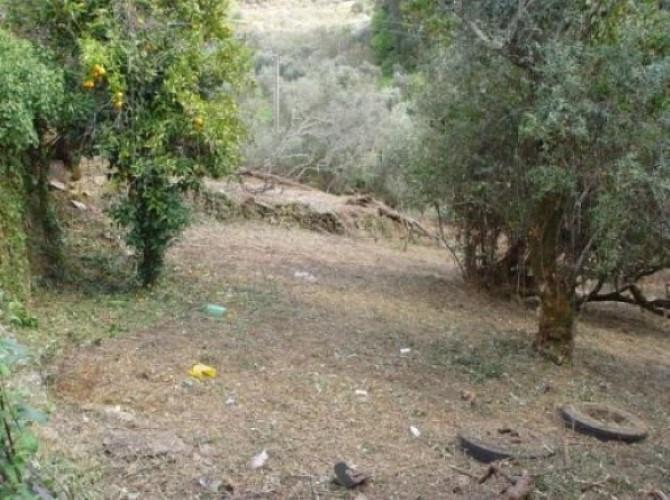 Image No.11-3 Bed Farmhouse for sale