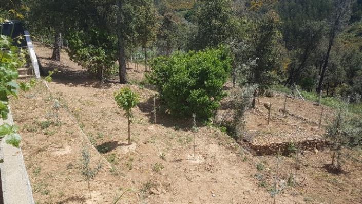 Image No.16-2 Bed Plot for sale