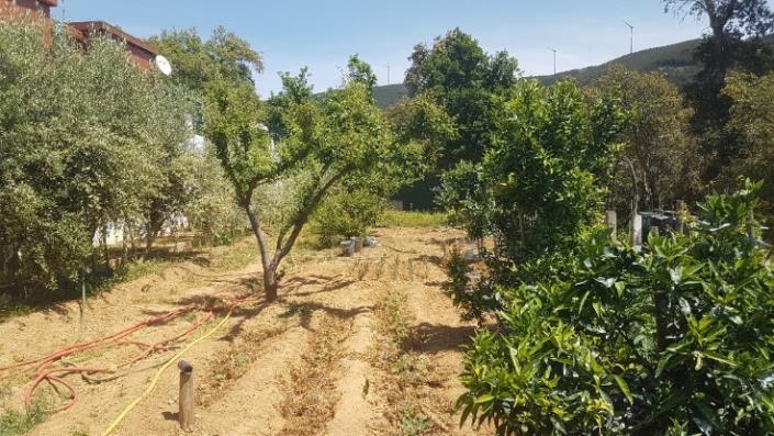 Image No.17-2 Bed Plot for sale