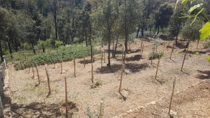 Image No.19-2 Bed Plot for sale