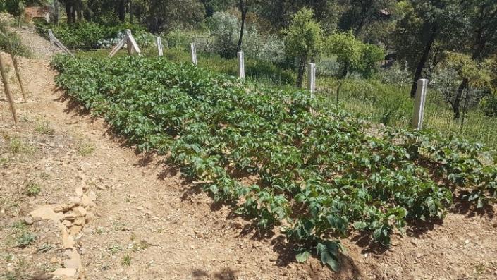 Image No.22-2 Bed Plot for sale