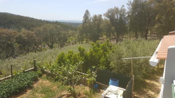 Image No.27-2 Bed Plot for sale