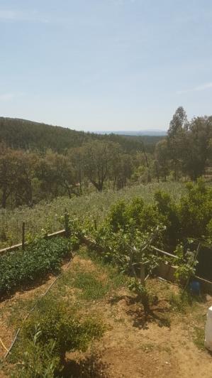 Image No.28-2 Bed Plot for sale