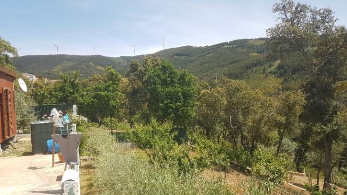 Image No.36-2 Bed Plot for sale