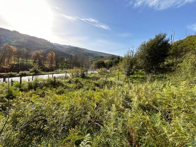 Image No.6-Plot for sale