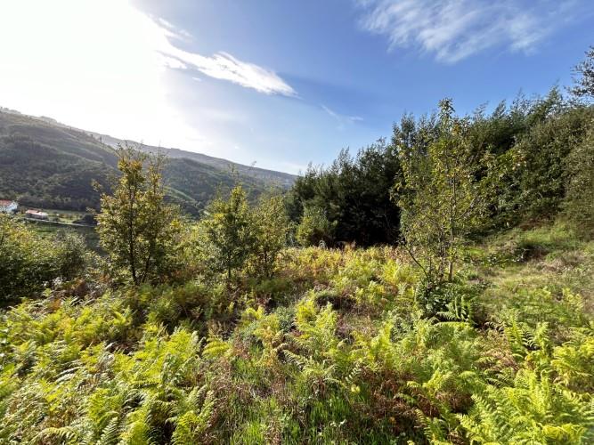 Image No.12-Plot for sale