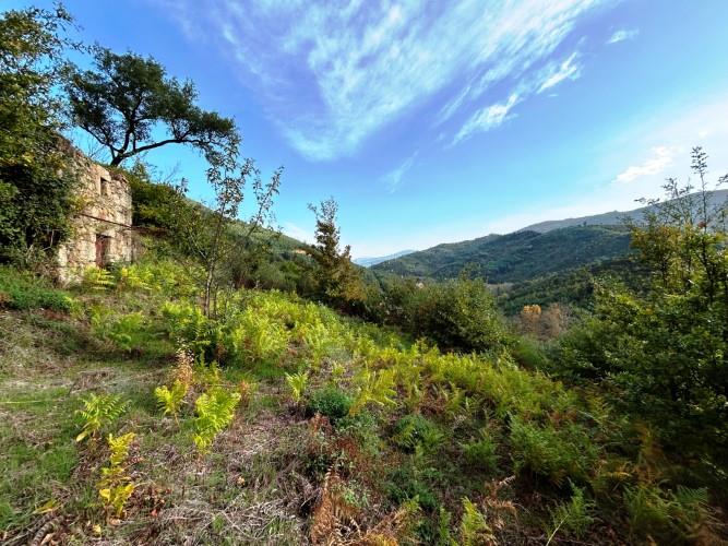 Image No.14-Plot for sale