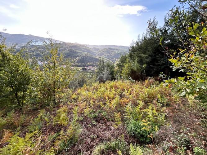 Image No.15-Plot for sale