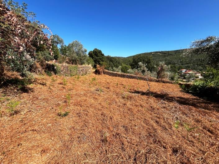 Image No.27-3 Bed Village House for sale