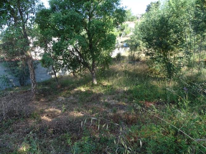 Image No.3-Land for sale