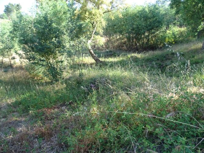 Image No.6-Land for sale