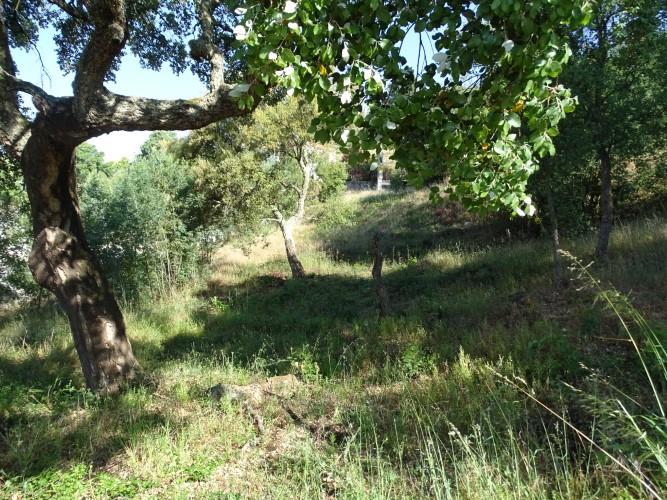 Image No.10-Land for sale