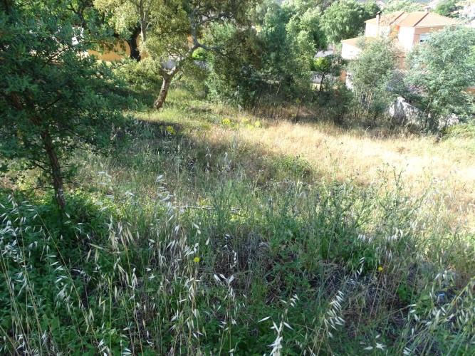 Image No.13-Land for sale