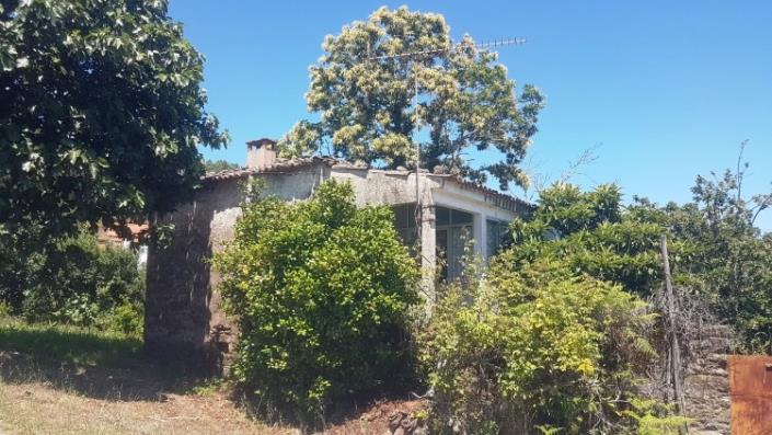 Image No.4-Village House for sale