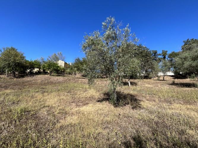 Image No.31-4 Bed House for sale