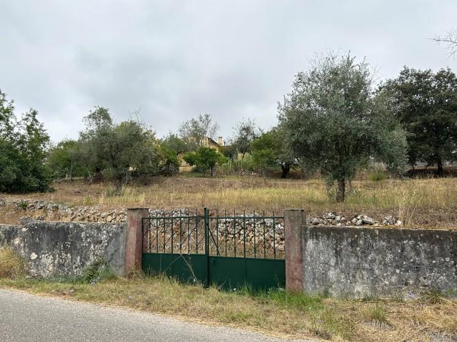 Image No.41-4 Bed House for sale