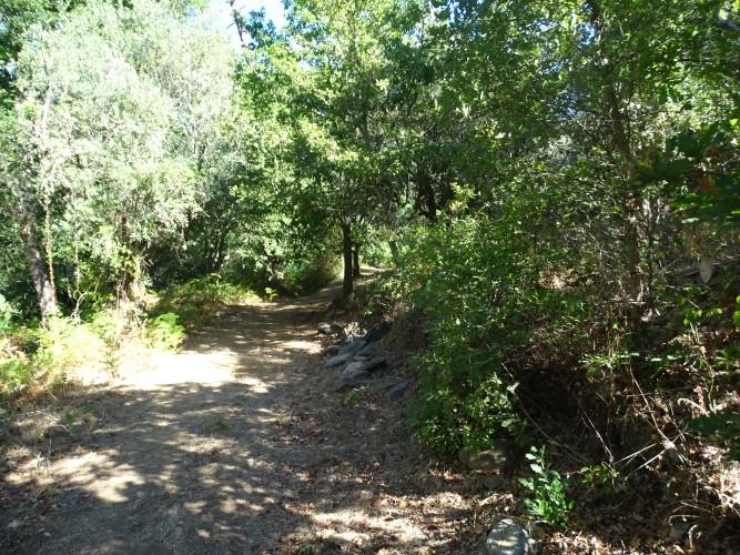 Image No.18-1 Bed Village House for sale