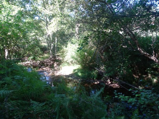 Image No.19-1 Bed Village House for sale